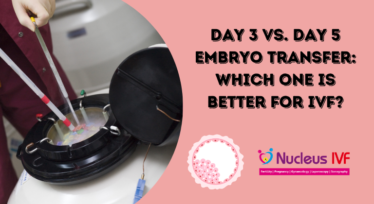 Embryo Transfer