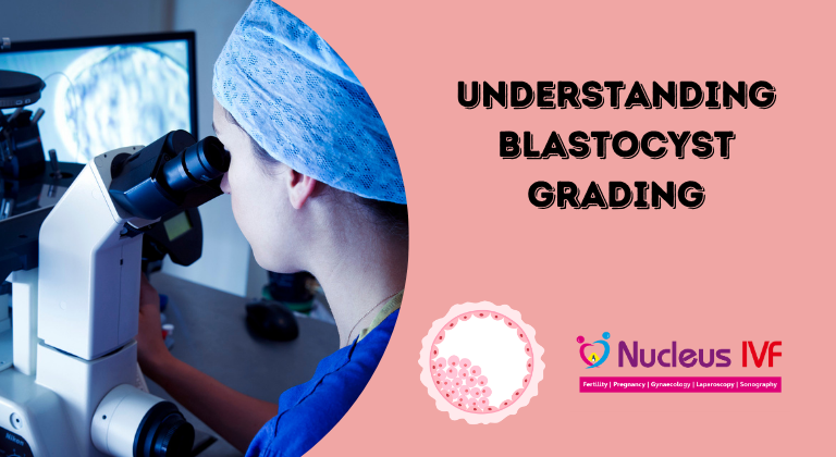 Understanding Blastocyst Grading